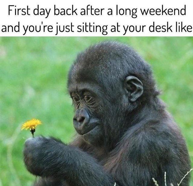 AzureMaraHaven's tweet photo. #MondayMood #iWasAtAzureMaraHaven https://t.co/m0NZEDxY1w