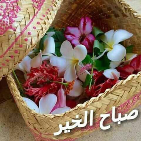 hc17o's tweet photo. @ahlamalsaid https://t.co/dptrKBqURF