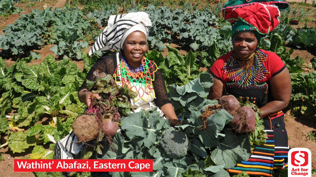 For #WorldFoodDay we're celebrating #FoodGardens that #FightHunger, like #WathintAbafazi crèche in the #EasternCape bit.ly/2zkA6Om