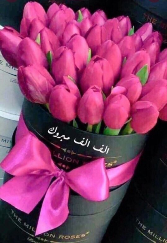 B5jj2's tweet photo. @misk___4 الف مبروك المسك 
وكل عام وانتم بخير
قروب رائع واداره ذوق واعضاءكرام تشرفت بتواجدي معكم والله يسعدكم دنيا واخره https://t.co/JJ4FfonCzF