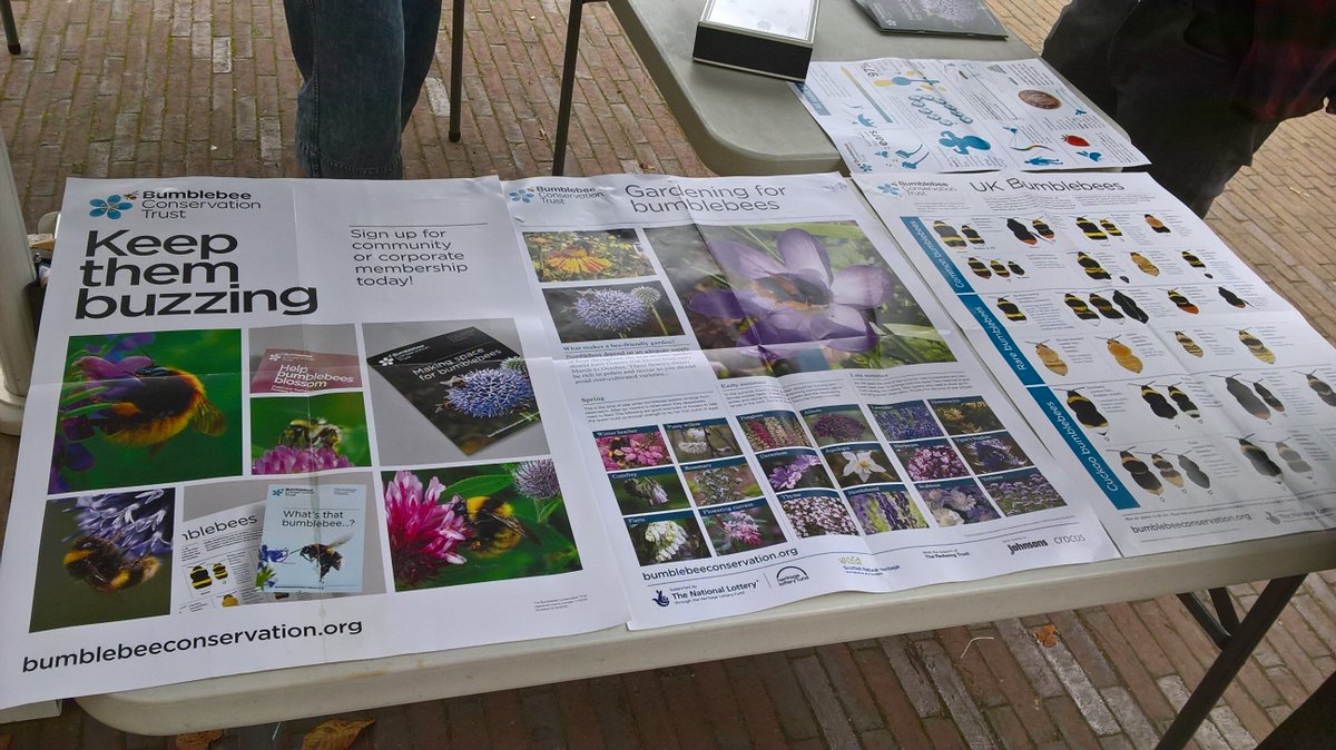 UR_Green's tweet photo. Thanks to all that joined us for environment week ! @ProjectOrchard @BumblebeeTrust @WRWArecycling @RoehamptonUni @Growhampton https://t.co/dCsnUmFKjT