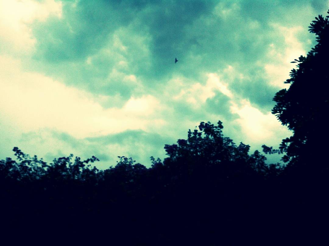 DeepRajMishra17's tweet photo. Weather Colours Are About Arrive!
#WeatherLove #ExtraEdits #DeepClick📷 🌩🌨🌧🌫 https://t.co/s9lIK5e4ZD