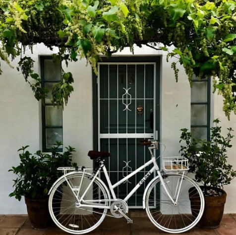 ColonyCycles's tweet photo. Our Nougat Dutch Style Bicycle exudes an elegant simplicity that turns heads wherever it takes you. #StyleOverSpeed #ColonyCycles #SaltRiver https://t.co/WXVj58vdSE