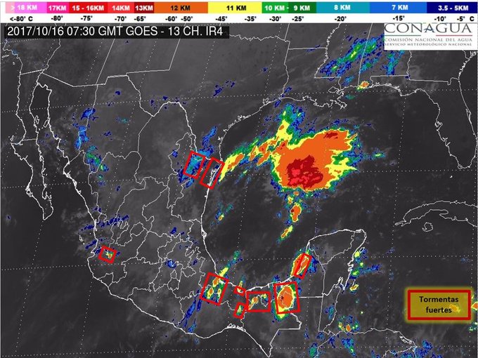 Ver imagen en Twitter Ver imagen en Twitter