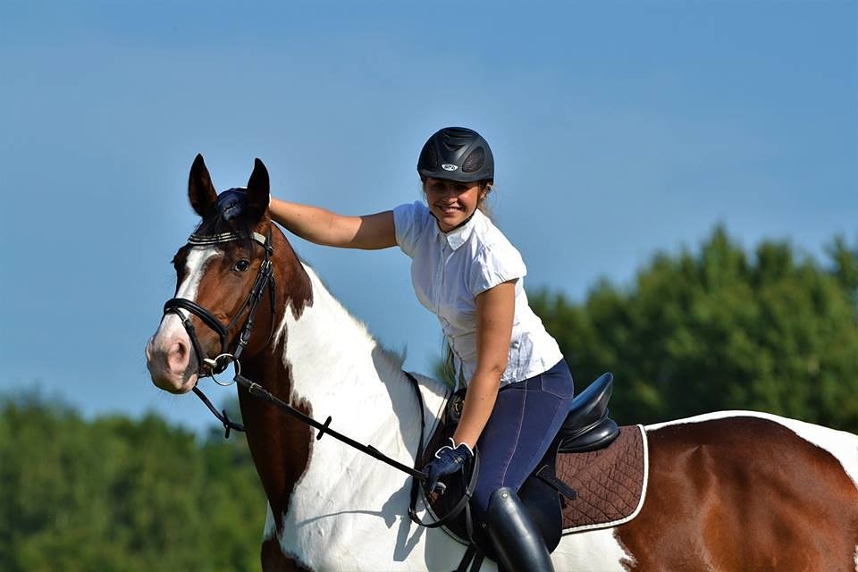 Horsesales.lt (horsesales_lt) Twitter