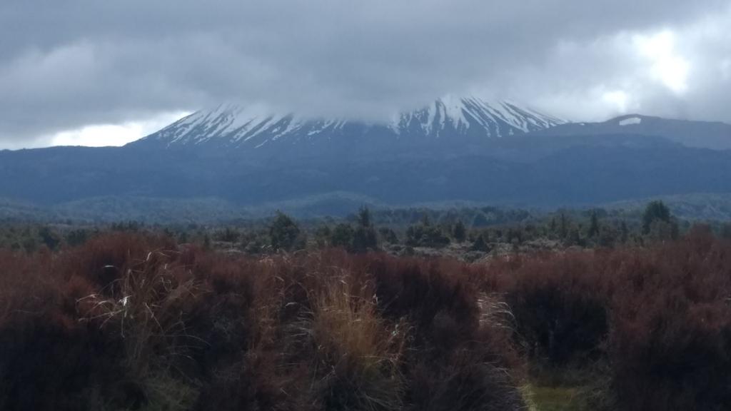 TonyaPaizo's tweet photo. @paizo Looks like the neighborhood changed a bit after Frodo's visit. Don't remember all that snow before. #hobbitsrule #roadtrip https://t.co/6LDZe5I9p7