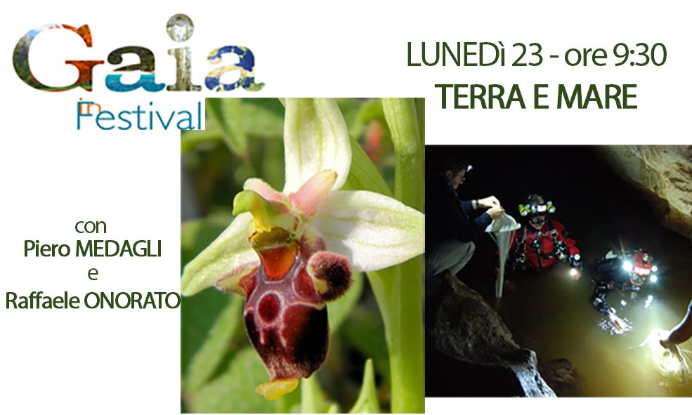 AlcaMaglie's tweet photo. #GaiaInFestival  Incontri con la Scienza 23-26 ottobre: 4 mattinate a tema per Scuole Sup., Insegnanti, Studenti Univ. e Appassionati https://t.co/pi014buxQy