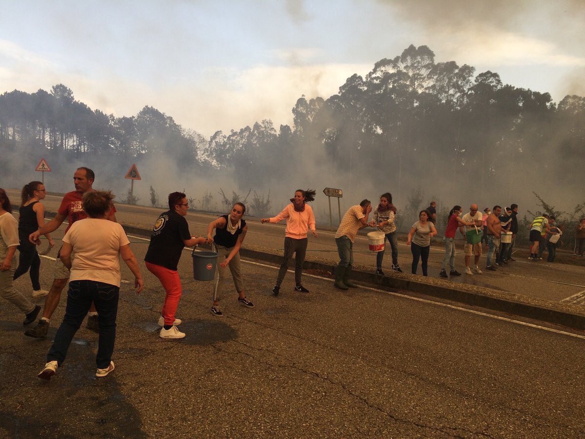 michenlo's tweet photo. Deberíamos decir que queremos un referendum a ver si así nos mandan 10.000 Guardia Civiles y nos ayudan con el fuego. #QueimanGalicia https://t.co/l8DXGIr6UW