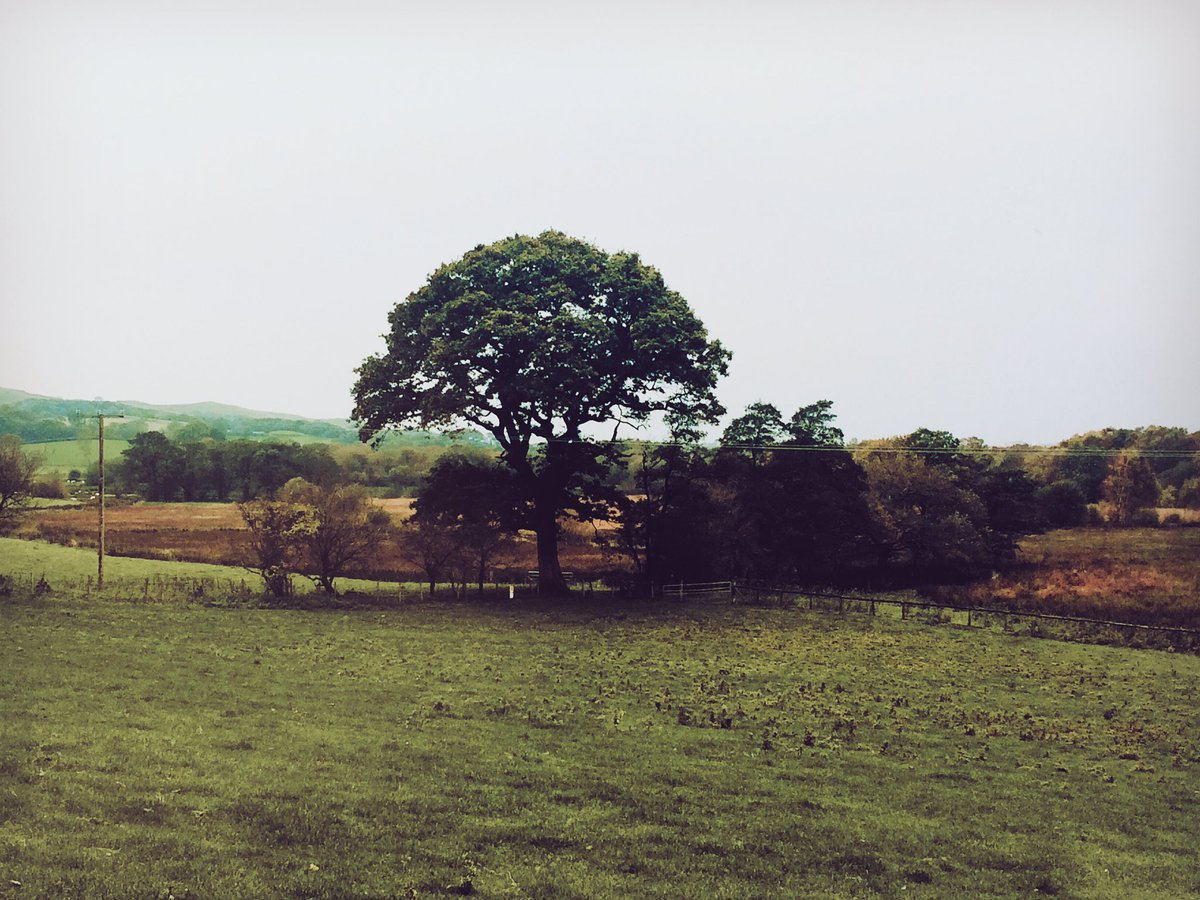 It's all a bit eerie here in Aberystwyth this morning, any one else feel it? #Opehlia #storm #aberystwyth #Weather