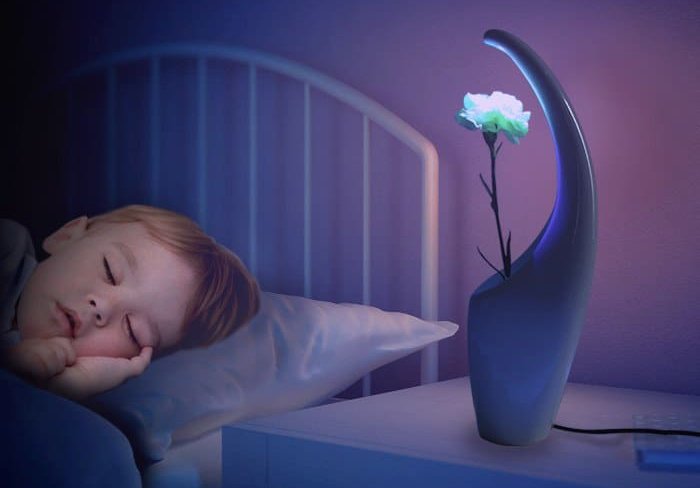 Veilleuse du futur: Éclairez avec des fleurs !
Laissez vous emporter par vos rêves et la douceur de sa lumière.