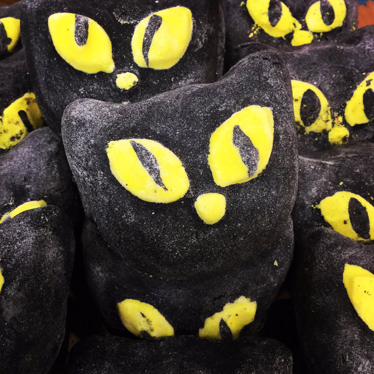 👻COMPETITION TIME😺
Share your cat pics with us #lushinvernessbewitched and we will enter you into a prize draw to win a little pumpkin gift