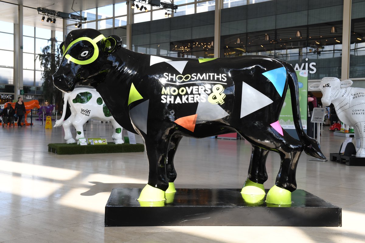 Say hello to Moo Smith from <a href="/Shoosmiths/">Shoosmiths</a> one of the UK’s top law firms and a serious moover and shaker within the MK legal market #MeetTheMoo