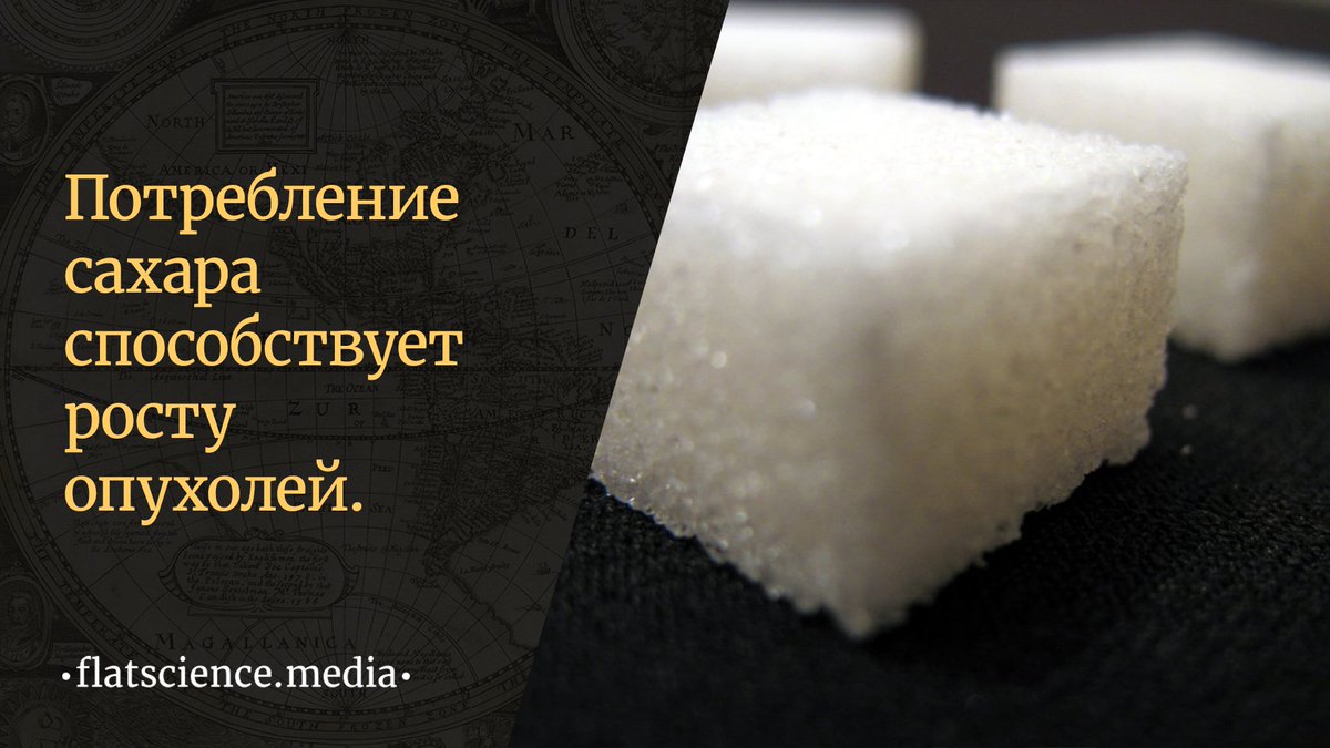 flatscience_ru's tweet photo. Потребление сахара способствует росту злокачественных опухолей.
https://t.co/HCc74ixzFQ https://t.co/tsvdbrJADw