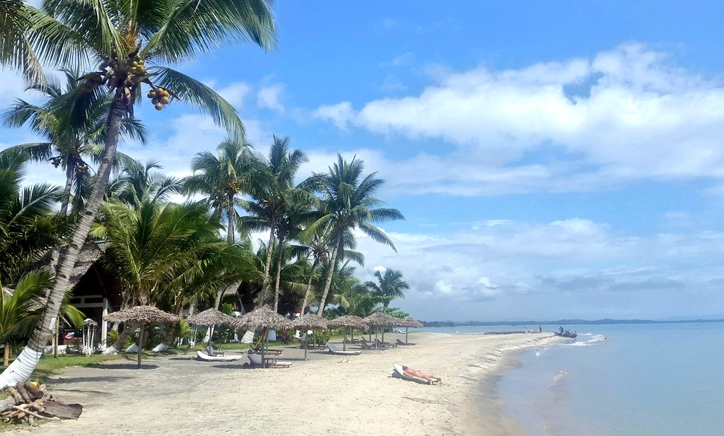 loplopculer's tweet photo. Bundan sonra deniz sahil kumsal ıstakoz balık karides
#Mahambo Madagaskar https://t.co/mpCLH7sSbC