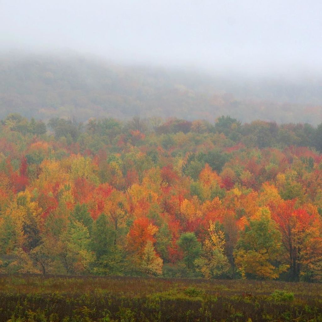 DHConservancy's tweet photo. "I'm so glad I live in a world where there are Octobers." -LM Montgomery⠀
⠀
(So are we!)⠀
⠀
Photo by David Soete⠀
… https://t.co/9zUb4IXa0D https://t.co/AyinAgA4gL
