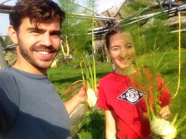 gleaningSUSSEX's tweet photo. Micro-glean! Quick fennel grab @BarcombeOrganic today for @TomsFeast to work magic with at @feedbackorg fundraising dinner tomo #Gleaning https://t.co/lUBCnATamG