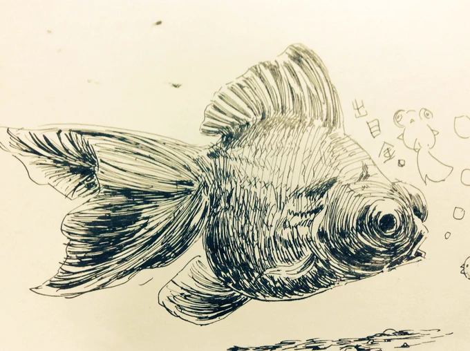 デメキン 