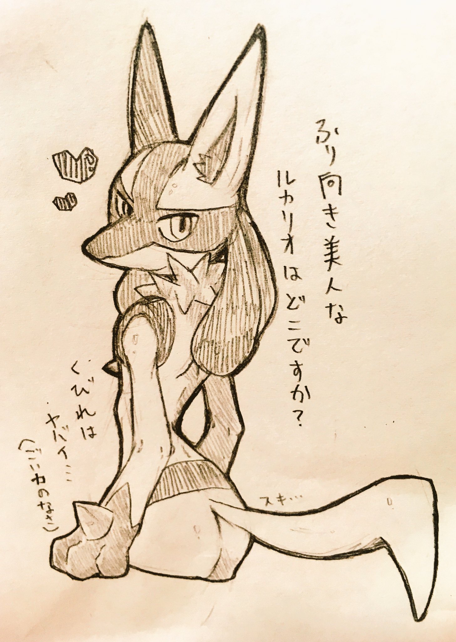 Luca うちの可愛いルカリオを見てくれ Luca うちの可愛いルカリオを見てくれ