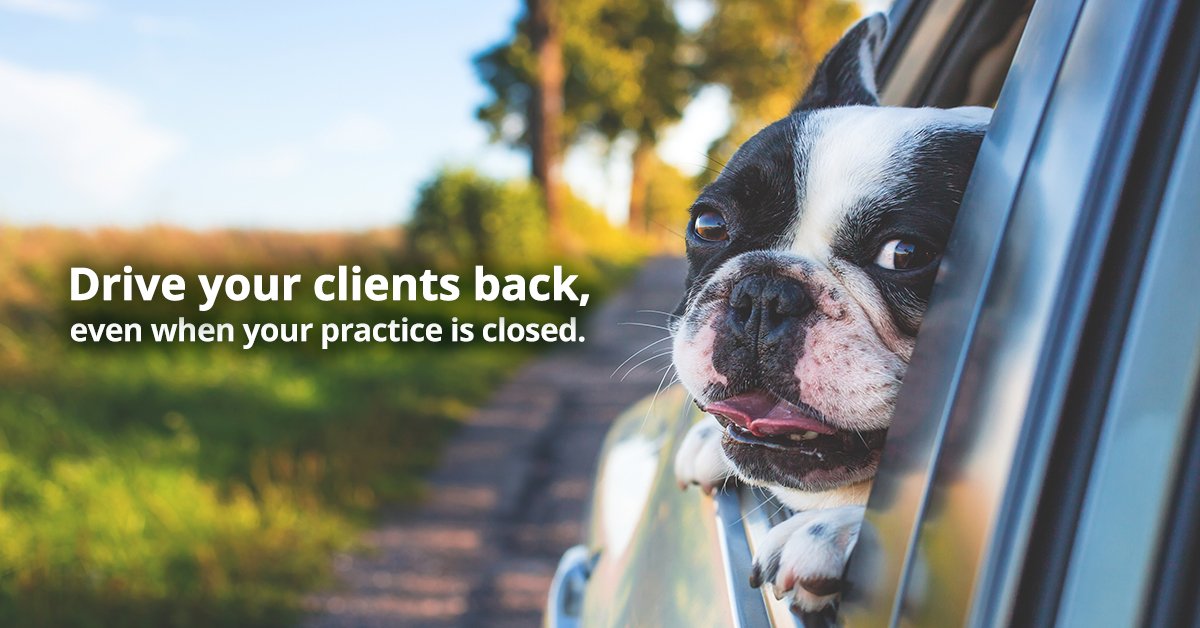 Why send non-emergent business away? Let us help improve your client service and grow your veterinary practice!