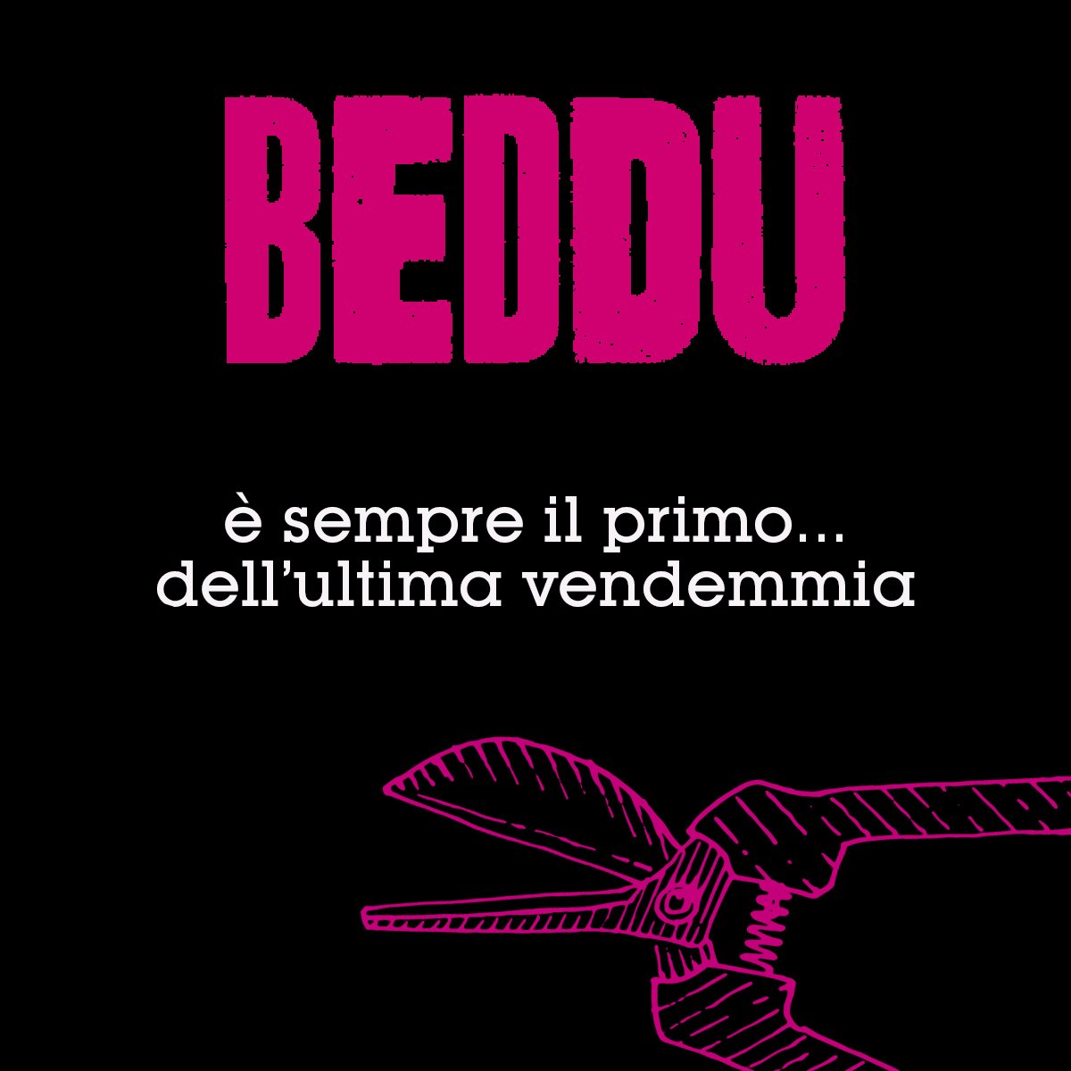 Cantine Due Palme tweet media