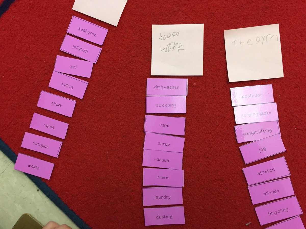 KimSweeney2's tweet photo. Monday morning intro to main topic- let’s sort words to determine what they have in common! https://t.co/OCCFUYVzuC
