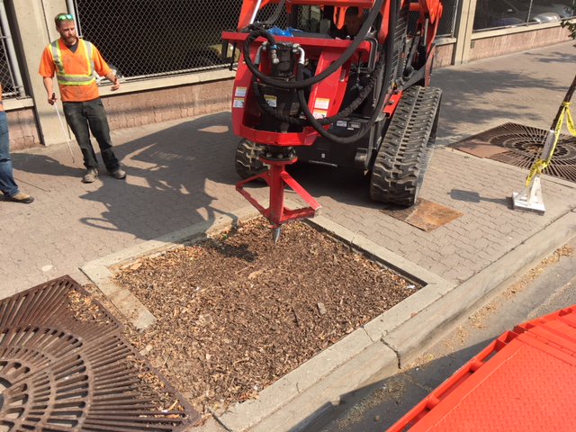 Feconllc's tweet photo. Some #Stumpex #stumpremoval on demo last week. Our Stumpex is great for municipalities needing stump removal in high-traffic areas! https://t.co/mHVGemwduo