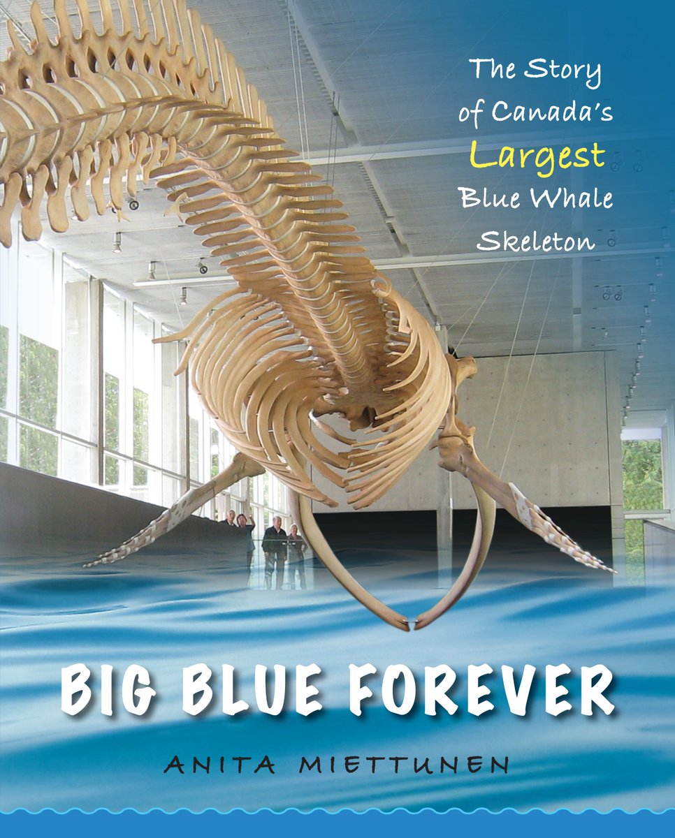 RedDeerPress's tweet photo. “Big Blue Forever” by @AnitaMiettunen is nominated for the @ForestofReading Silver Birch Express Award! #forestofreading #ireadcanadian https://t.co/Umwz4KOGaq