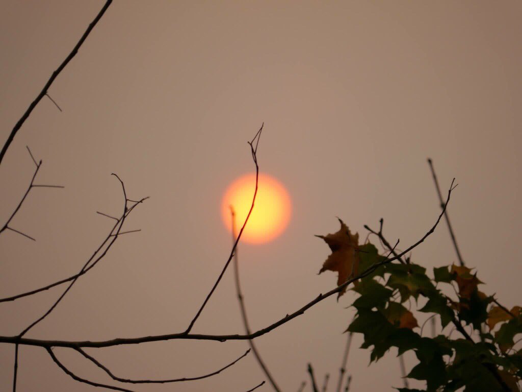BBCSpotlight's tweet photo. Some amazing pics of the #red sun in the South West thanks to hurricane #Ophelia. You find more here 🙂 https://t.co/lQqxwsHbvS https://t.co/7uRULUS7r8