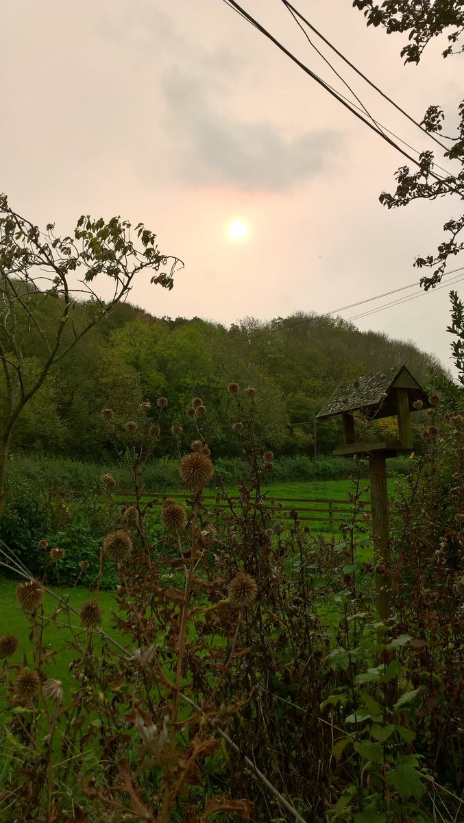 BBCSpotlight's tweet photo. Some amazing pics of the #red sun in the South West thanks to hurricane #Ophelia. You find more here 🙂 https://t.co/lQqxwsHbvS https://t.co/7uRULUS7r8