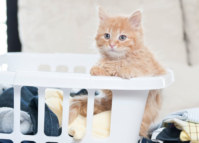 it's time for your performance review, human 
#NationalBossDay