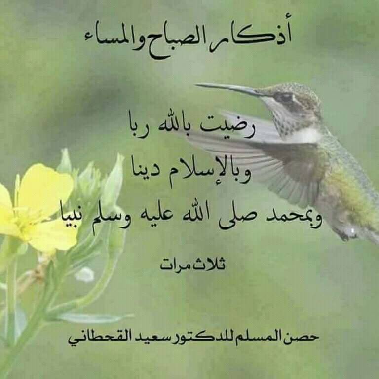betaqaislamia's tweet photo. من أذكار المساء https://t.co/F8MfPjybHy