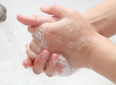 FightBAC's tweet photo. Two things that go great together during the school year:  #safeschoollunch and #handwashing. https://t.co/41BGfAadsl https://t.co/t2s8JpAenE
