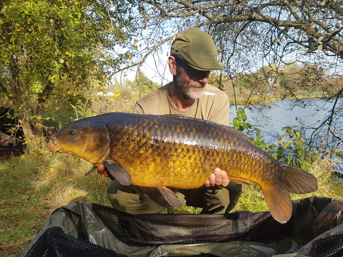 carpyray's tweet photo. @ChaseLakes couple  of hours over the Chase resulted in four takes 3 carp biggest 22lb happy days https://t.co/qfURUlVbzG