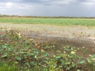 AndyDonaldCCG's tweet photo. Kakudu nat park41 degrees yesterday croc hunting! today walk Darwin before moving onto Cairns tonight. Tmw Barrier Reef #adventureoflifetime https://t.co/ddyNf3WEbt