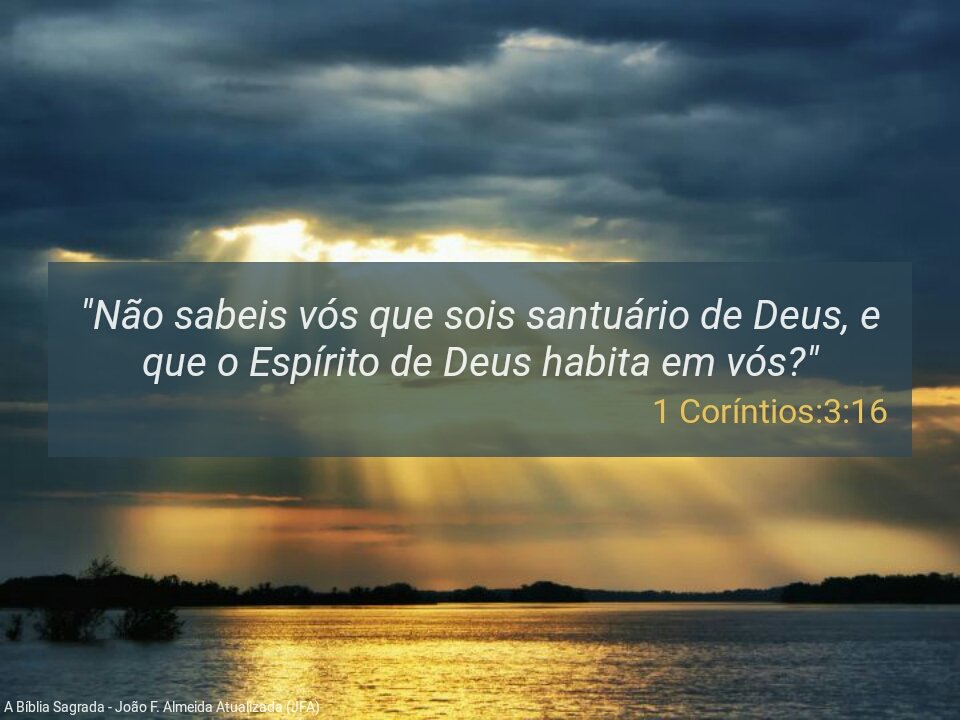 DinelFloriano's tweet photo. https://t.co/pWIqhaC4R2