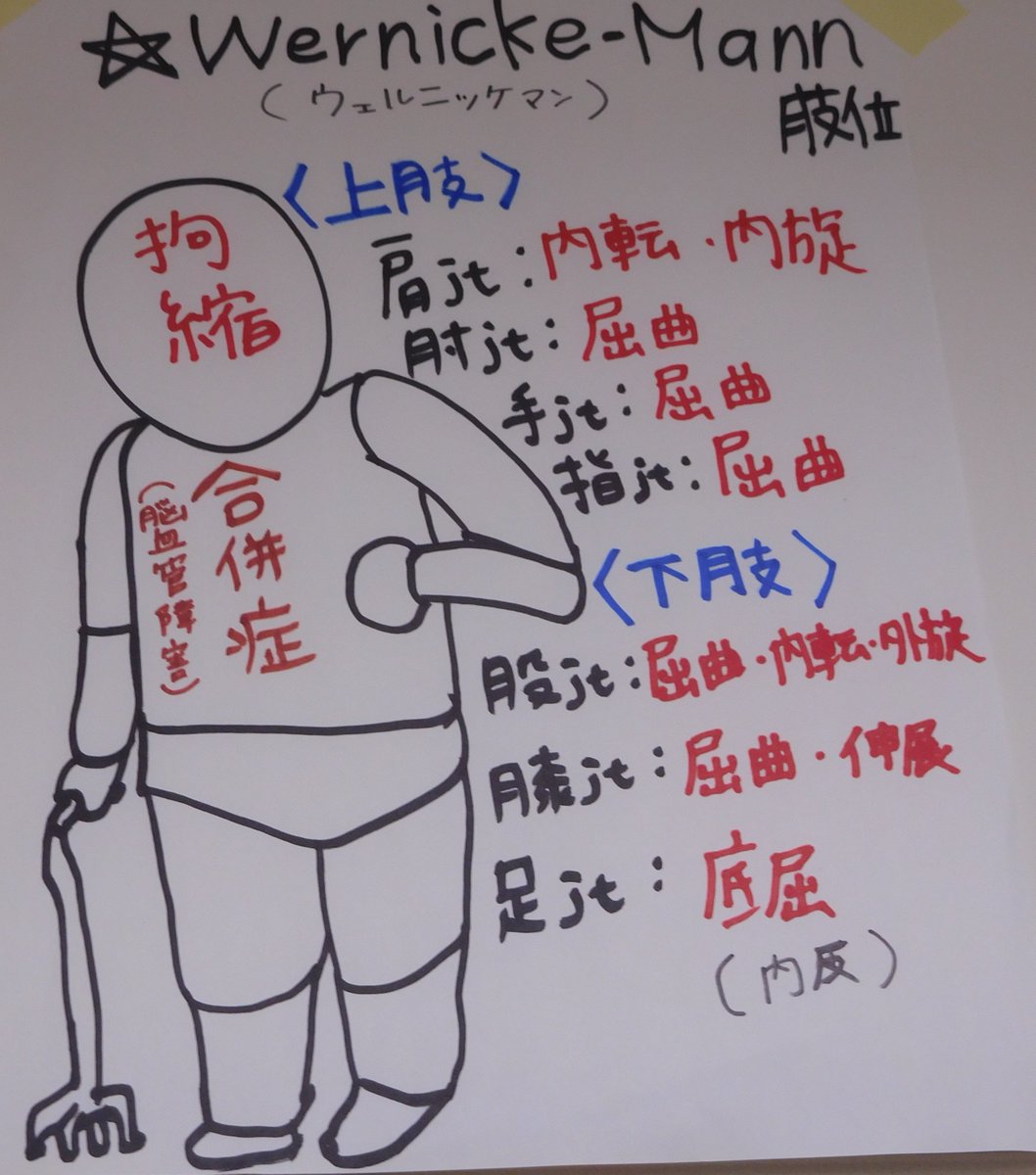 下関看護リハビリテーション学校さんのツイート 3年生がフォトジェニックな勉強方法をしています ノ わかりやすいイラストや ちょっと芸術家っぽい 笑 イラストもあり教室はにぎわっています 勉強していますが みんなで確認しながら今日は脳の勉強です 下関看護リハビリテーション学校さんのツイート 3年生がフォトジェニックな勉強方法をしています ノ わかりやすいイラストや ちょっと芸術家っぽい 笑 イラストもあり教室はにぎわっています 勉強していますが みんなで確認しながら今日は脳の勉強です