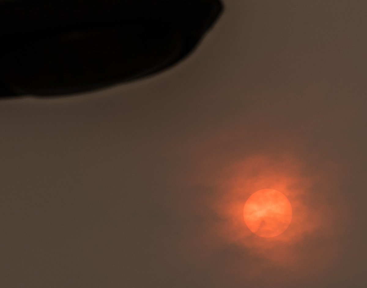 Sun over Wrexham is blood red this morning!Spectacular if not a bit weird ! 😎☀️🌤️