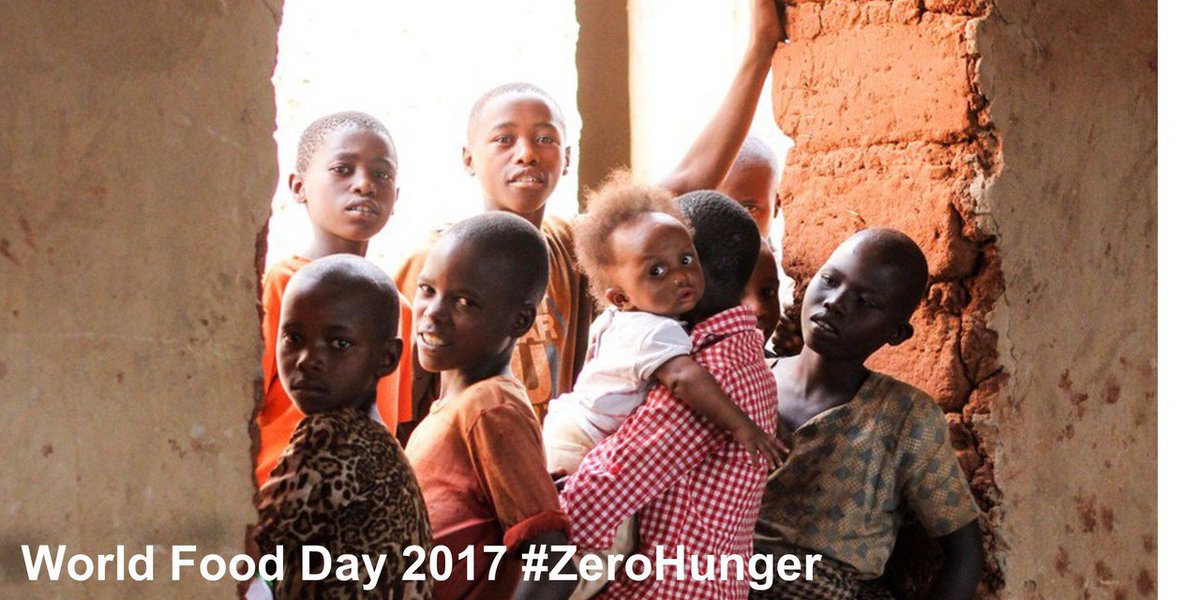 It's World Food Day today, October 16th #wfd2017. Do you think that food is a fundamental human right? We do. #zerohunger