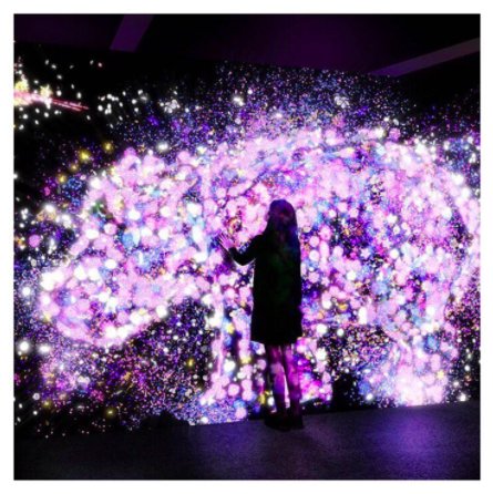 PolarBlackLtd's tweet photo. Another breathtaking immersive installation from Team Lab as part of their latest exhibition ❤️ #PBLoves https://t.co/caXAxI05hB