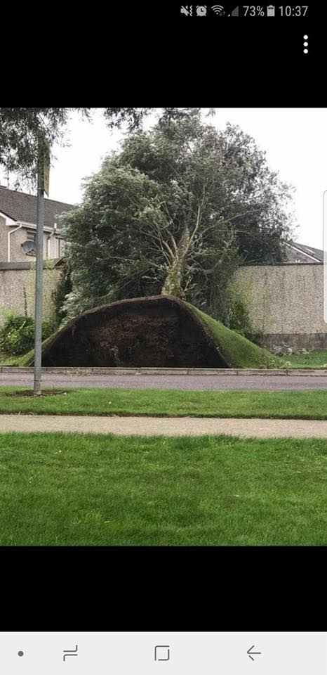 DMQEXHRXcAEPzCL.jpg:large