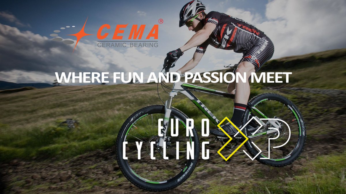 Cemabearing tweet media