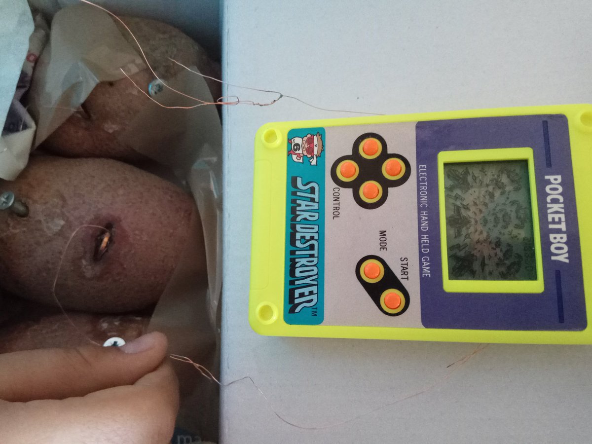 magutva's tweet photo. Science Day. César shows how a machine can work with the energy of potatoes. #Scienday #clilscience #yosoydeidiomas https://t.co/I7gFI2Jdx5