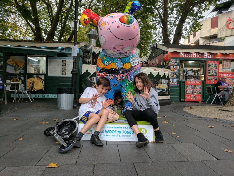 SnowdogsWales tweet media