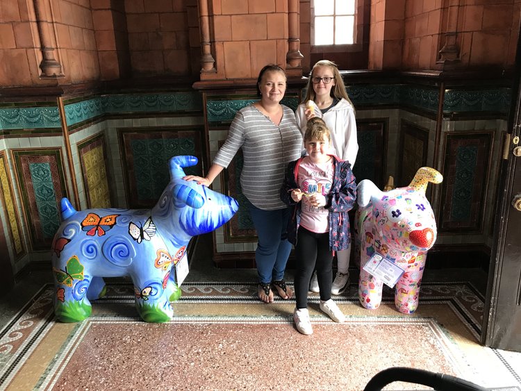 SnowdogsWales tweet media