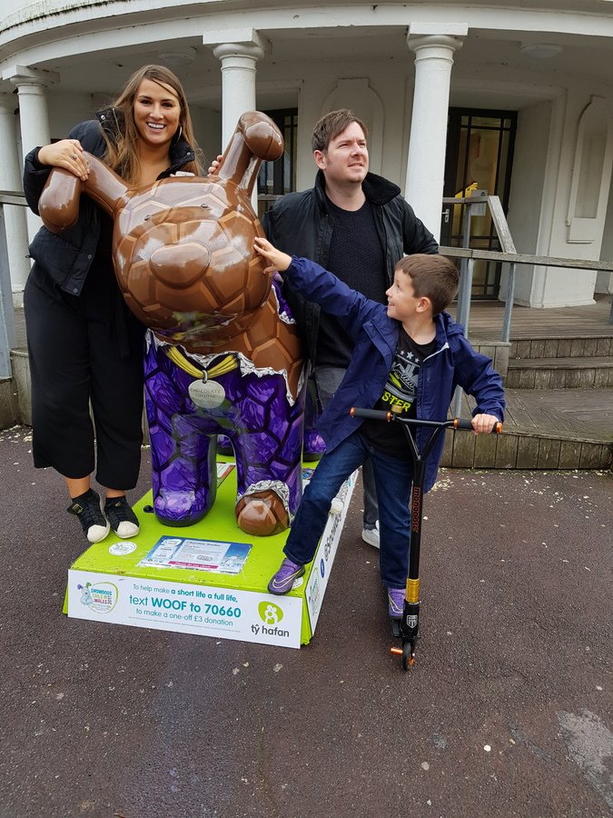 SnowdogsWales tweet media