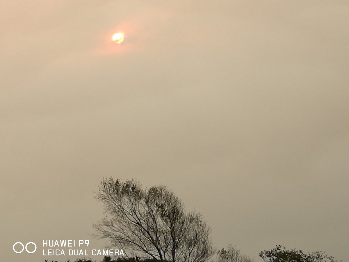 SianMJones1's tweet photo. Very strange skies today and the suna burning red colour @ruthwignall @DerekTheWeather @ItsYourWales @walesimages https://t.co/bhrZdBCIsh