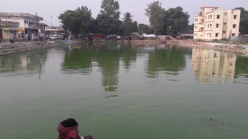 SBMNPSAHARSA's tweet photo. Nagar Parishad Saharsa ke dwara Chhath Ghath ke safai ka karya Jari hai....Swachhta ka naya Najariya !! https://t.co/dayXMqIMTW