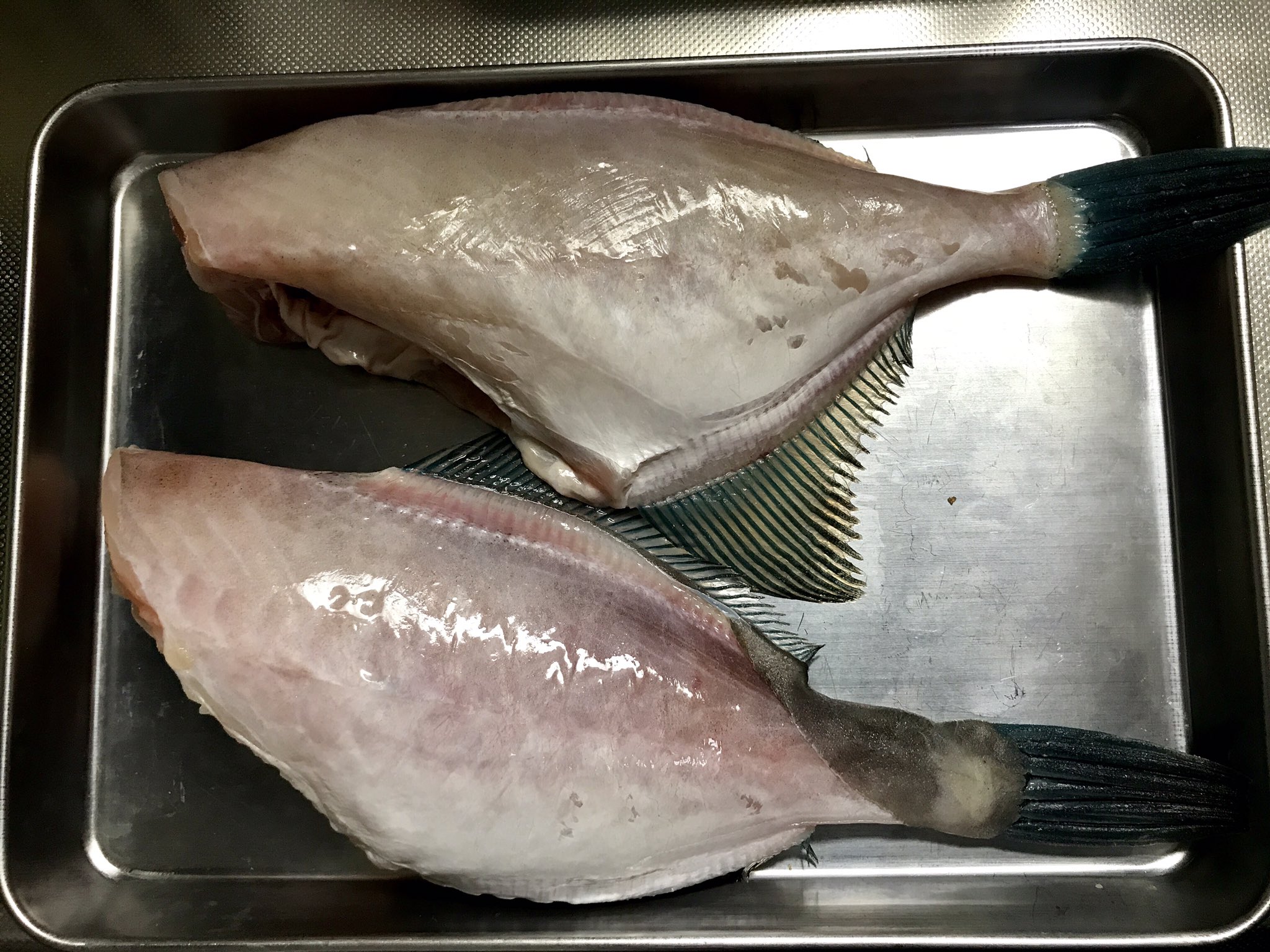 Heikayuuji Auf Twitter これからウマヅラハギ ツノギ の煮付けを作ります 息子と僕の大好物 料理男子 料理好きな人と繋がりたい T Co 5dvwkobfoj Twitter