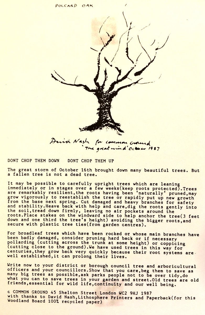 CommonGroundLab's tweet photo. "LET THEM BE" In the aftermath of the Great Storm of 1987 David Nash and Common Ground published thousands of free postcards with the idea that a fallen tree was not a dead tree. On the 30th anniversary of one storm and cusp of another, our mantra is still "DON'T CHOP THEM UP"! https://t.co/MVAEoameUL