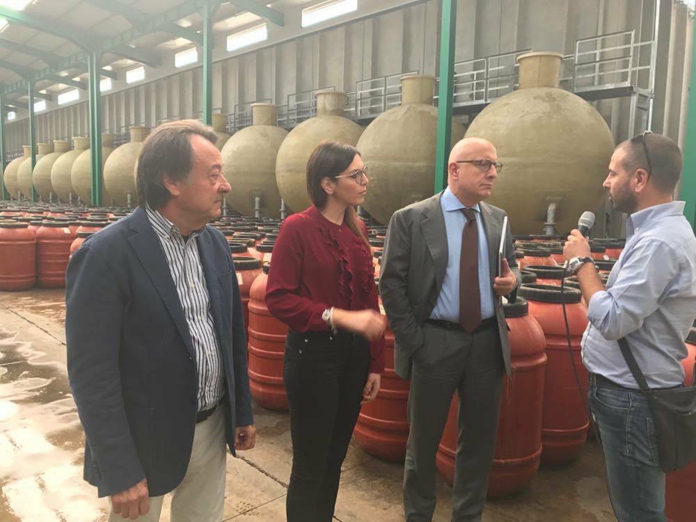 UdS_SN's tweet photo. @gaearmao a #Castelvetrano insieme a Silvia Calvanico per visitare l'eccellenza dell'azienda olivicola #Curaba. #DifenderemoLaSicilia https://t.co/lZIimls1Un